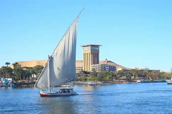 Traveler preparing an Egypt eVisa application