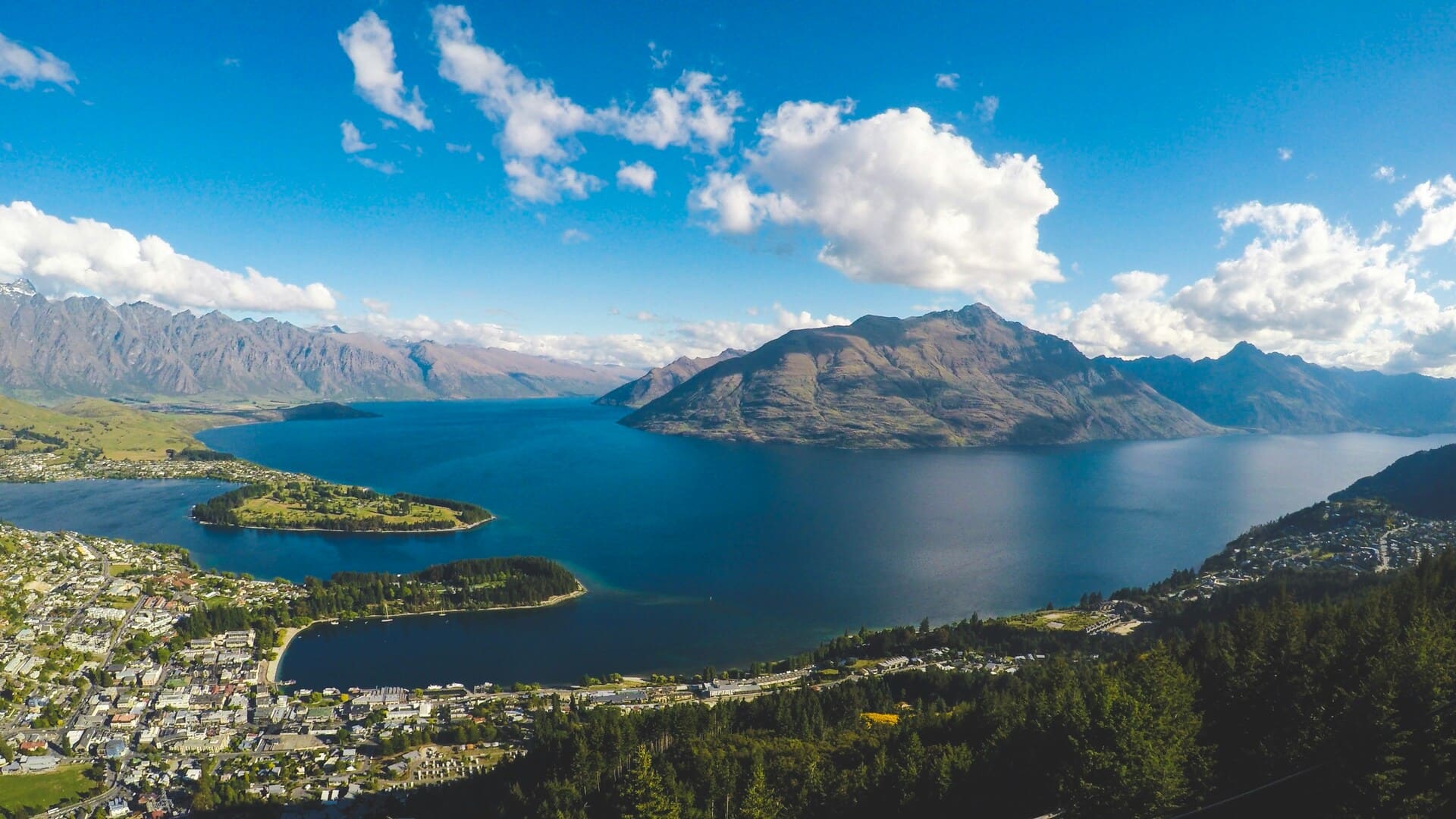 New Zealand landscape